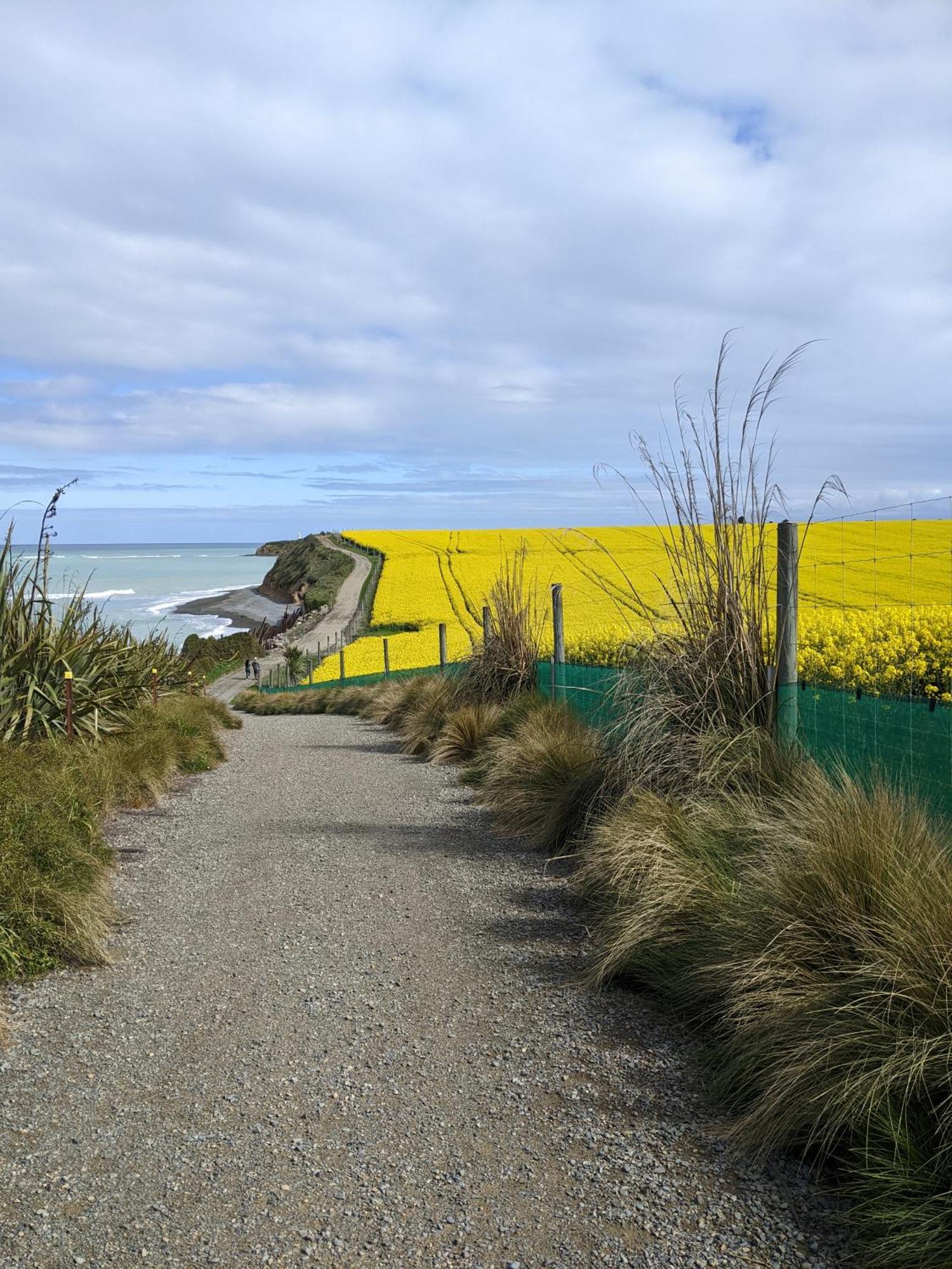 Kingsdown Manor B&B Timaru Luaran gambar